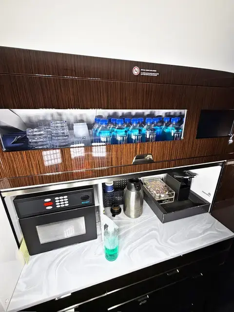 Bombardier Challenger 3500 detailed by Pristine Jets, photo 46 of 59