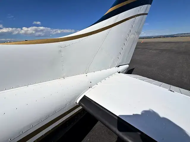 Cessna 182/206 (Teal/Gold) detailed by Pristine Jets, photo 1 of 8