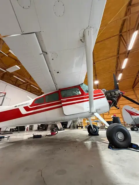 Cessna 185 Tail Wheel detailed by Pristine Jets, photo 1 of 13