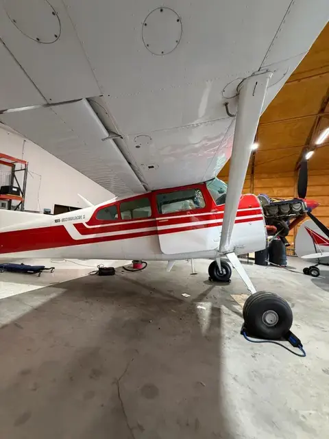 Cessna 185 Tail Wheel detailed by Pristine Jets, photo 2 of 13